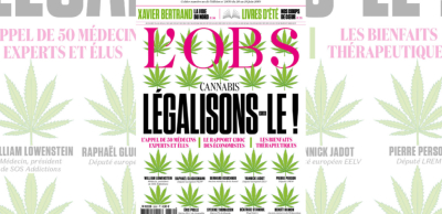 blog magasine obs cannabis