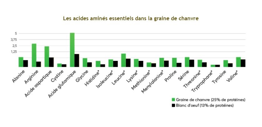 Blog acide amines dans le chanvre